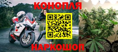 стаф Бузулук