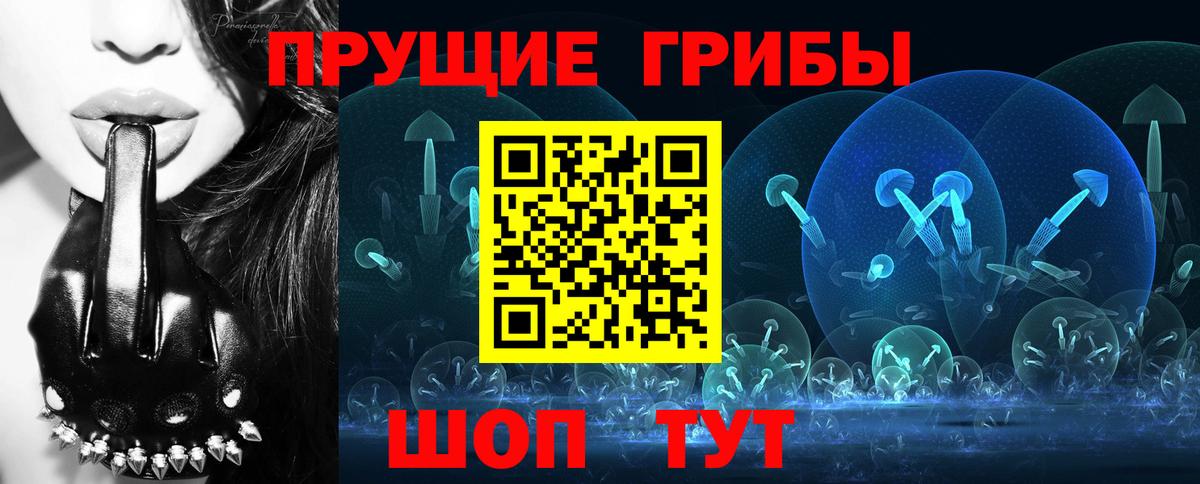 Псилоцибиновые грибы Psilocybe Кохма